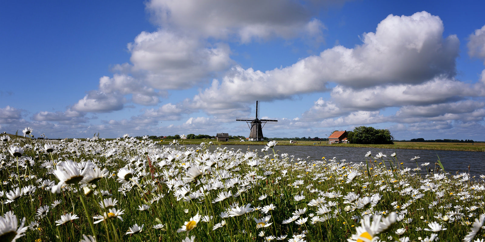 Den Burg, Texel